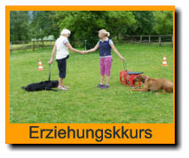 Erziehungskkurs